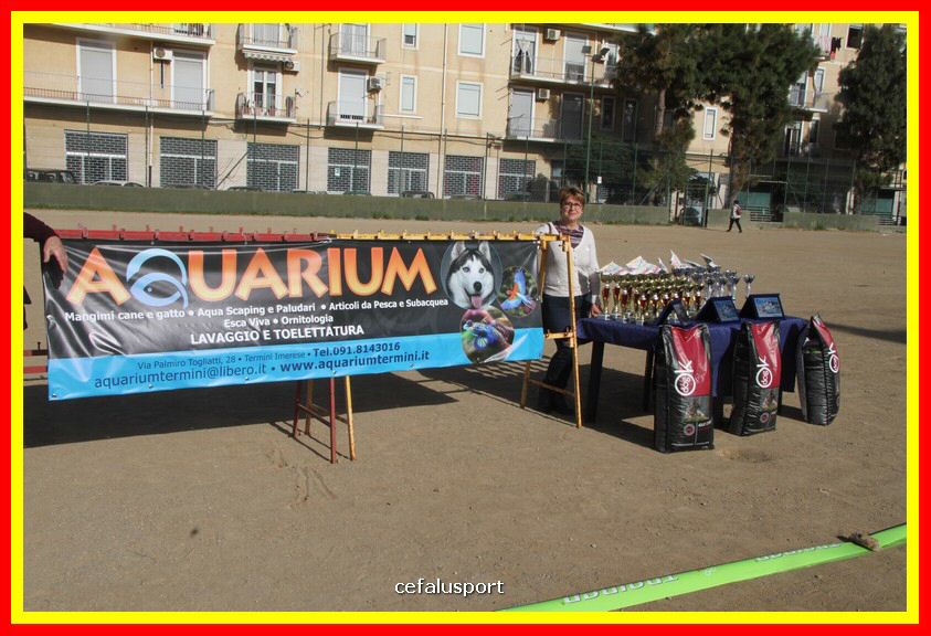 180311 mostra_canina 067.jpg